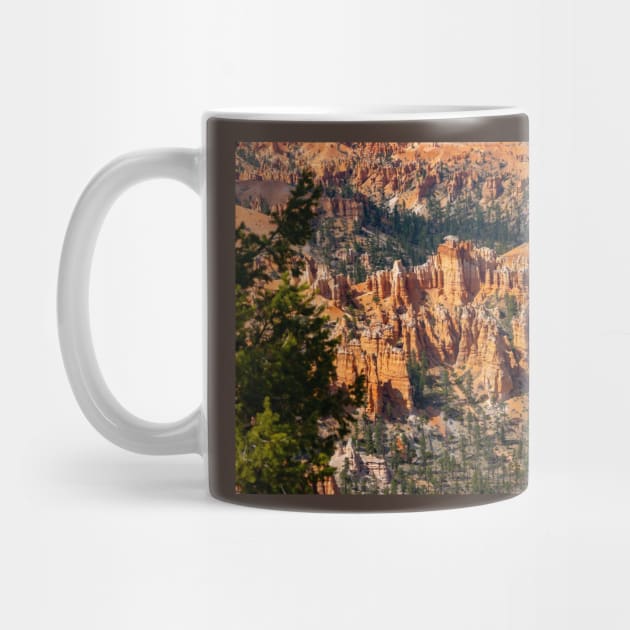 Bryce Canyon View 10 by Rob Johnson Photography